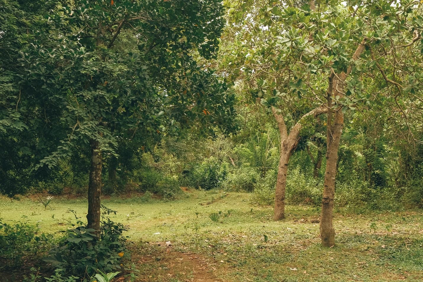 View of a flat piece of land for sale in Kuta Lombok