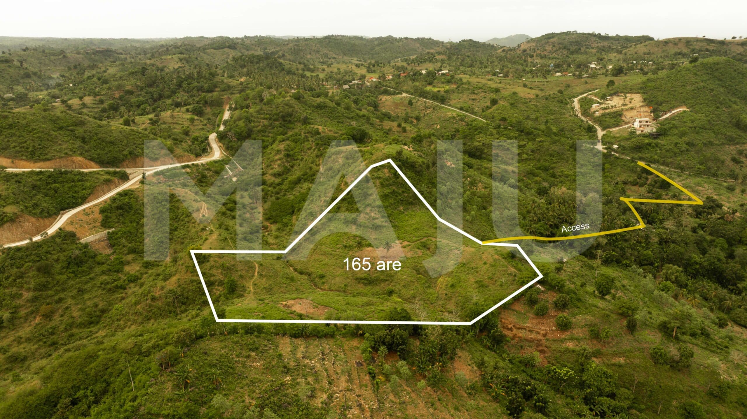 Mekarsari - 165 are