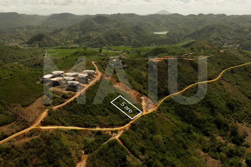 Slide 3