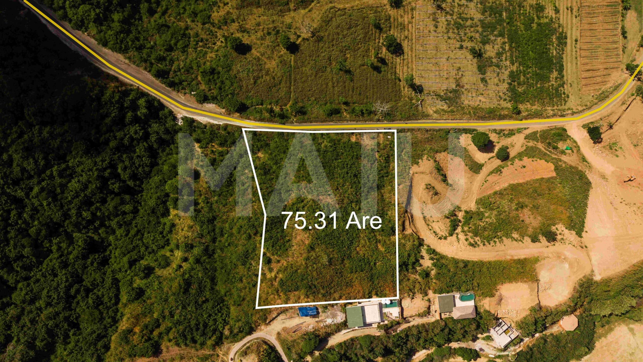 Serangan - 75.31 are showing access