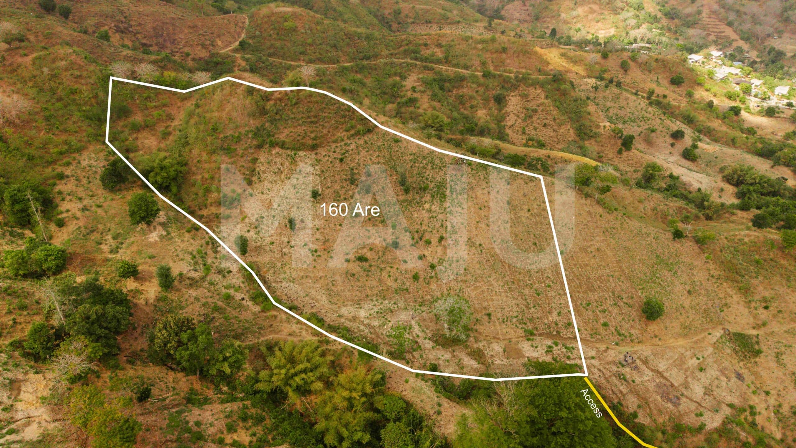 Mekarsari 1.6 hect.