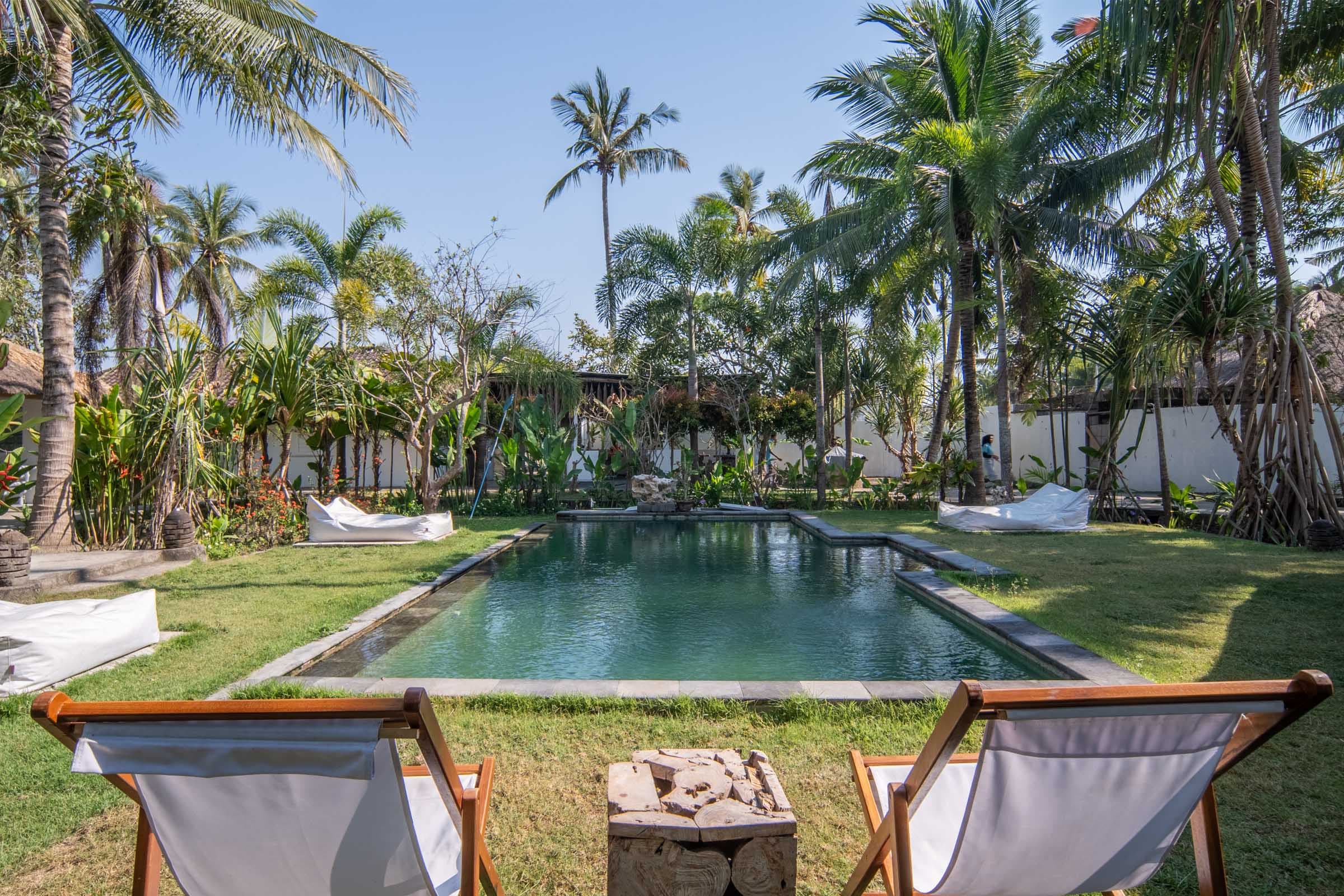 Serene outdoor swimming pool at Tiki Lodge, surrounded by lush tropical gardens and tall palm trees, with wooden lounge chairs and bean bags on a grassy lawn.
